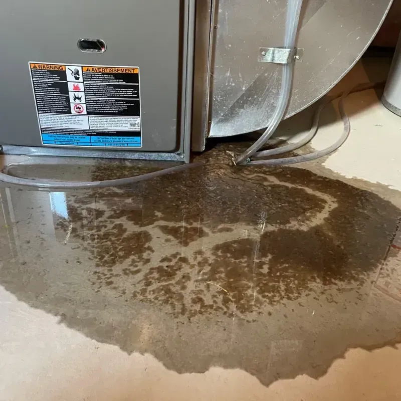 Appliance Leak Cleanup in East Flat Rock, NC